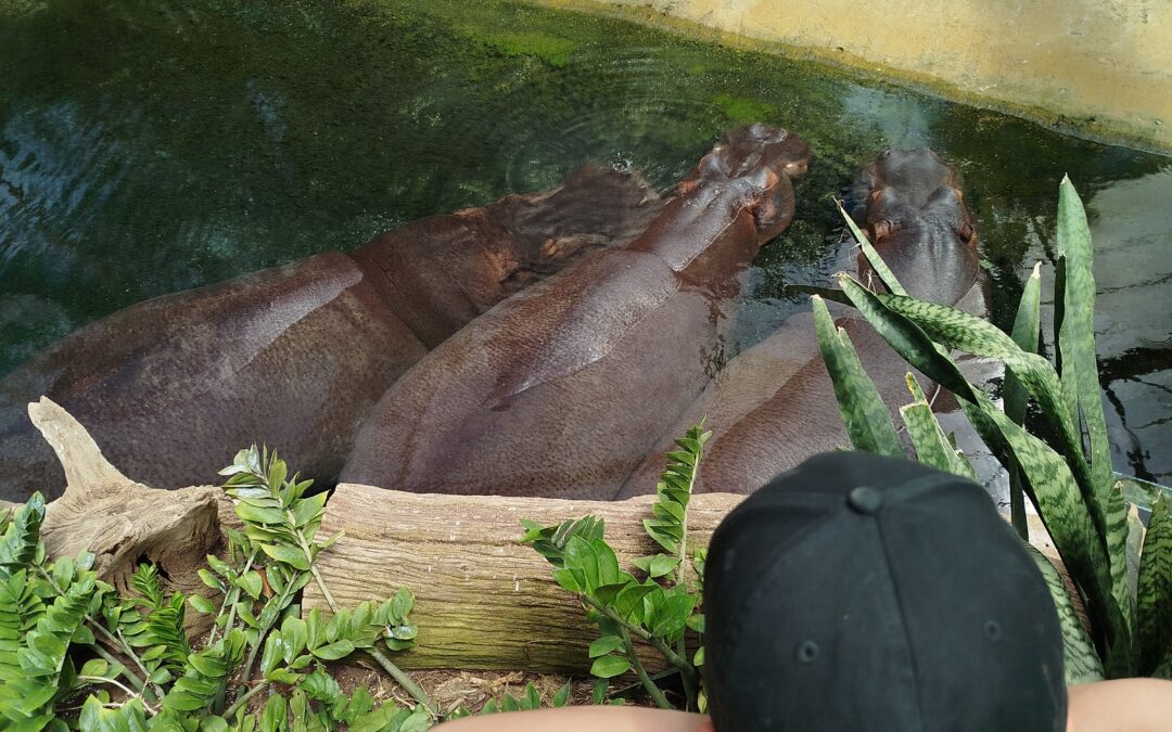 Zoobesuch in Köln